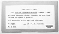 Image Associated With the Occurence